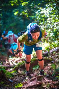 BIB: 9773, 
                            <button type="button" onclick="openModal(19330484)" class="btn btn-primary btn-sm float-right btn-popup" data-toggle="modal" data-target=".modal-high-quality">
                        <i class="fas fa-shopping-cart"></i> Add to Cart
                    </button>
                                            <button type="button" onclick="isThisMe(19330484, true)" class="btn btn-success btn-sm float-right btn-popup btn-isme hidden" data-toggle="tooltip" data-placement="bottom" title="นี่คือรูปของคุณใช่ไหม คลิกที่นี่เพื่อเอาเข้าอัลบั้ม">
                        <i class="fas fa-plus"></i> Add to album
                    </button>
                    <button type="button" onclick="isThisMe(19330484, false)" class="btn btn-warning btn-sm float-right btn-popup btn-isnotme hidden">
                        <i class="fas fa-ban"></i> Remove from album
                    </button>